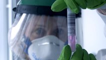 La pandemia del coronavirus deja ya 160.917 víctimas mortales