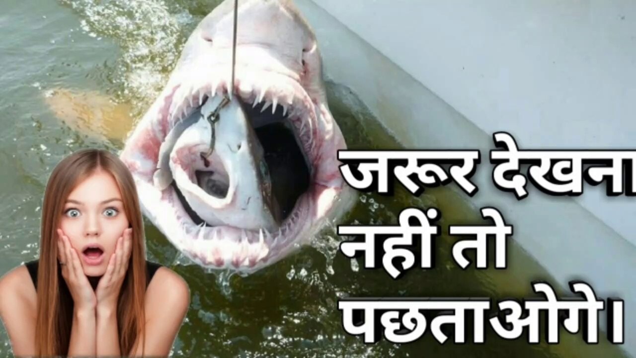 जानवरों के पेट से मिली अजीब और चौंकाने वाली चीजें || WEIRD THINGS FOUND INSIDE ANIMALS || Unbelieva thing , top 10 Amazing videos , khtarnak janwar , animal eat human beings, Horror things eat by animals