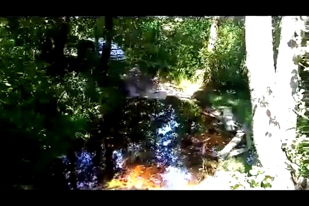 Секреты ловли чехони