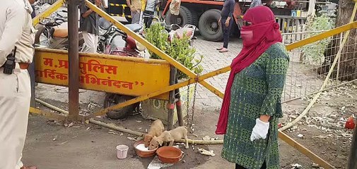 उज्जैन: सराहनीय पहल- मजबूर असहाय मूक प्राणियों की भी सेवा कर रही है पुलिस