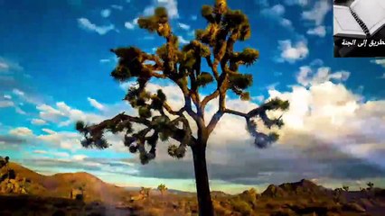 احكام التوراة قبل القرآن الكريم والإنجيل