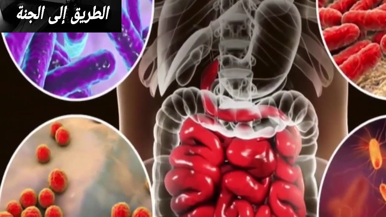 الفيروس القاتل كلام الدكتور مصطفى محمود عن كورونا