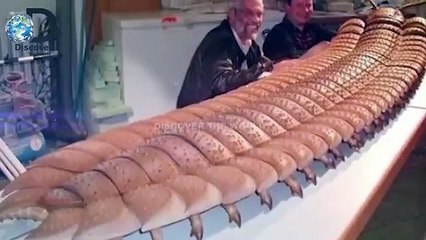 Who lived on Earth Before Dinosaurs In Urdu Hindi