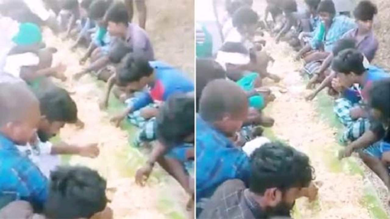 ஊரடங்கு உத்தரவை மீறி கறி பிரியாணி விருந்து வைத்து ‘டிக் டாக்’ வீடியோ வெளியிட்ட இளைஞர்கள் - வீடியோ
