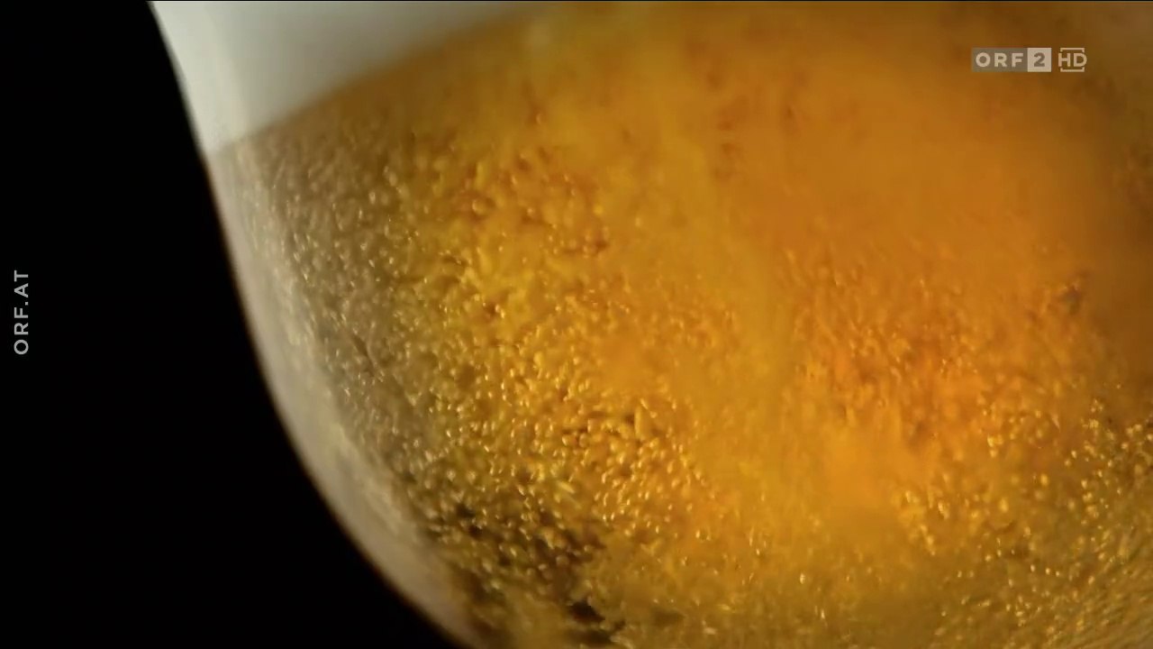 Der Mensch und das Bier – 10.000 Jahre Kulturgeschichte