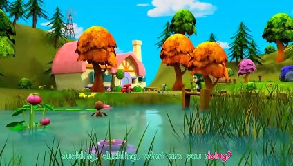 Baby Have a Little Brother + Brother Song W Education Nursery Rhymes & Kid Songs