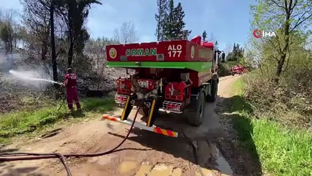 İstanbul'da ormanlık alanda yangın çıktı