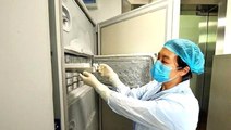 Çin laboratuvarında 1500 adet virüsün saklandığını kanıtlayan fotoğraflar basına sızdırıldı