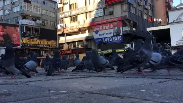 Sokağa çıkma kısıtlamasında polis, aç kalan güvercinleri elleriyle besledi