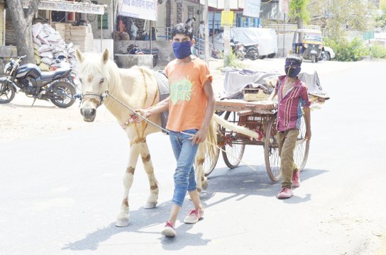 Video : हाथ गाड़ी को बना दिया घोड़ा गाड़ी