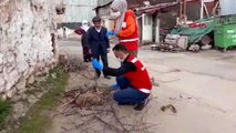 SİVAS Vefa Destek ekipleri, evinden çıkamayan yaşlı çiftin odunlarını kırdı