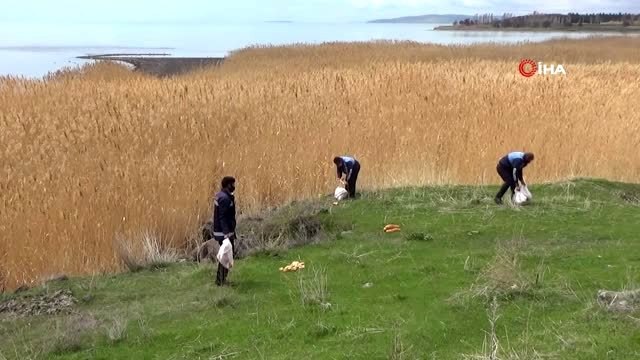 Erciş'te yem bulmakta zorlanan hayvanlar için doğaya yiyecek bırakıldı