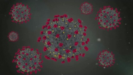 재양성자, 6명 늘어 179명...20대 22.9%로 최다 / YTN