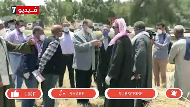 محافظ أسيوط يتفقد بدء حصاد محصول القمح بأبنوب ويعلن زراعة 240 ألف فدان
