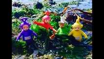 TELETUBBIES Visit the OCEAN and BEACH to Search for Crabs-