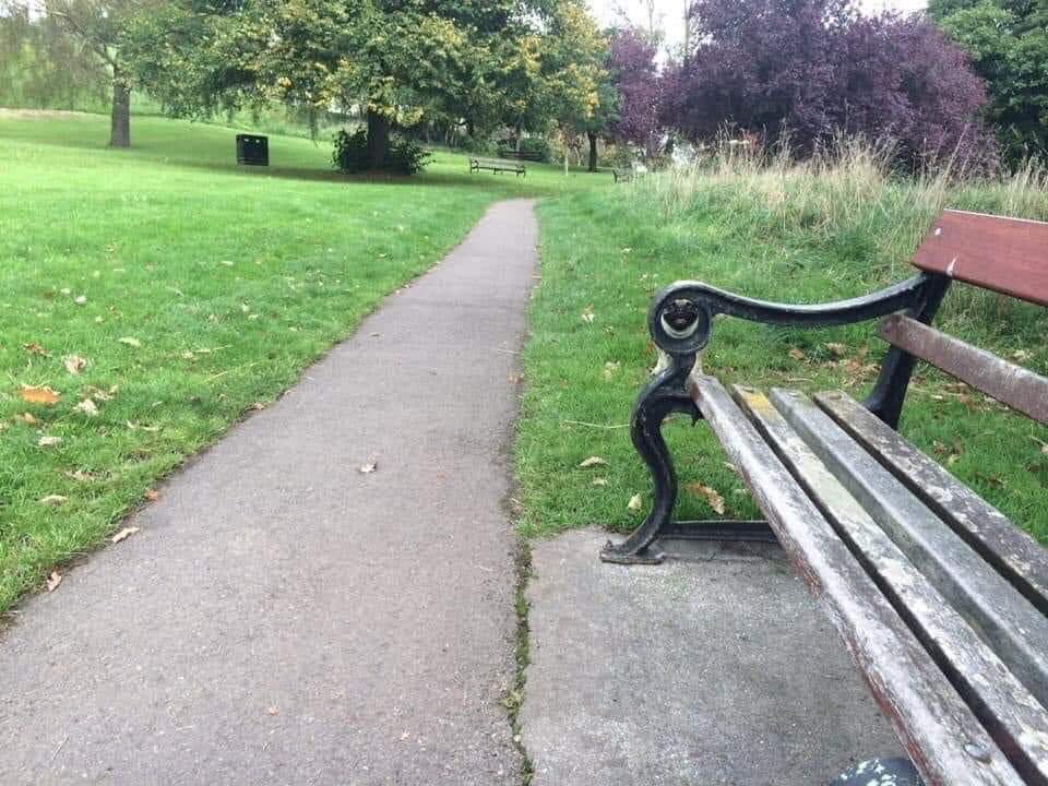 Peu de gens trouvent le chien sur la photo en moins de 10 secondes