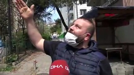 İstanbul'da İskender papağanı sürprizi!