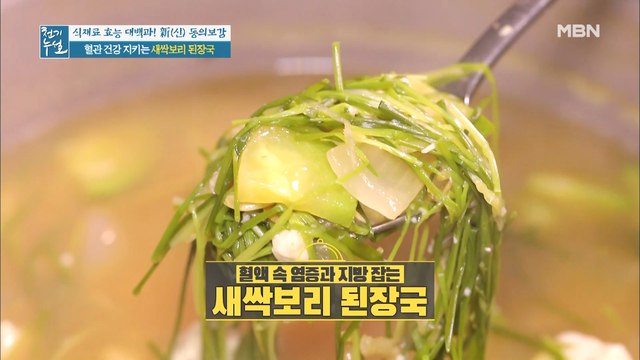 혈관 건강 지키는 새싹보리 활용법 ①