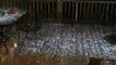 Back porch littered with hail during stormy night