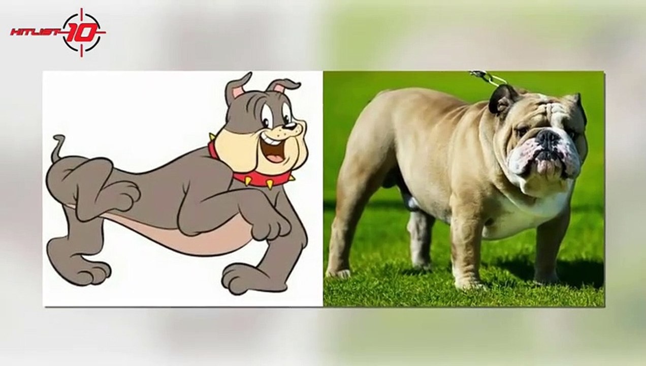 Tom_and_Jerry_In_Real_Life(480p)