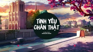 Tình Yêu Chân Thật - Lê Bảo Bình (DinhLong Remix) - Nhạc Remix Việt Mix Căng Cực 2019