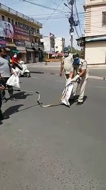 ratlam snake video