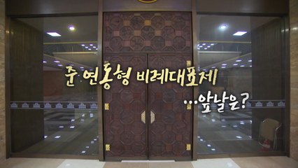 [영상] 준 연동형 비례대표제...앞날은? / YTN