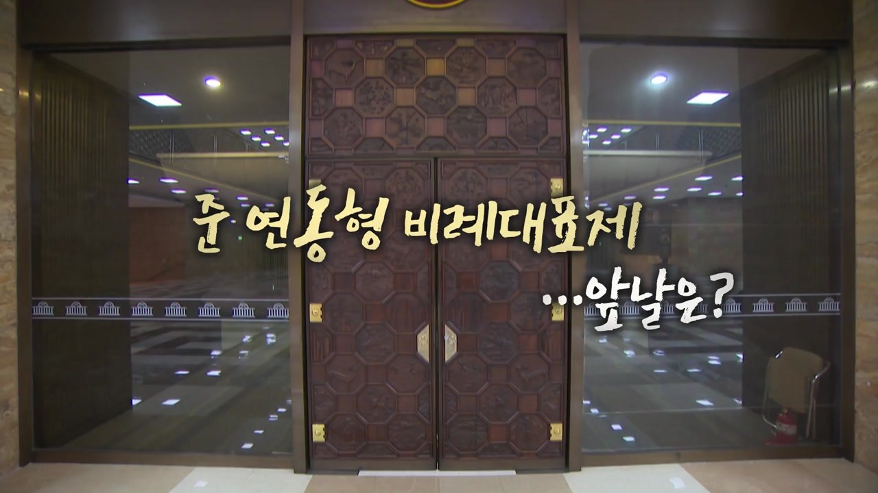 [영상] 준 연동형 비례대표제...앞날은? / YTN