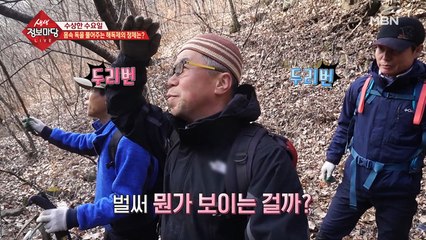 몸속 독을 풀어주는 해독제의 정체는?