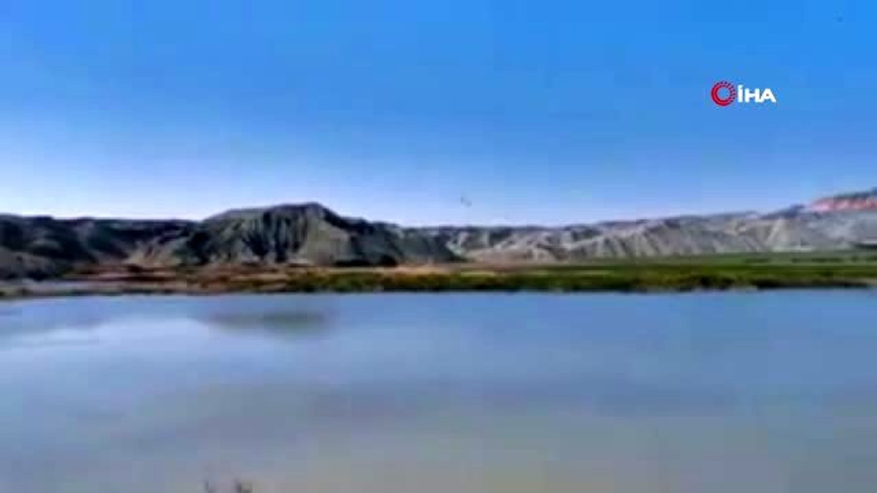 Nallıhan Kuş Cenneti'ne göçmen kuşlar gelmeye başladı