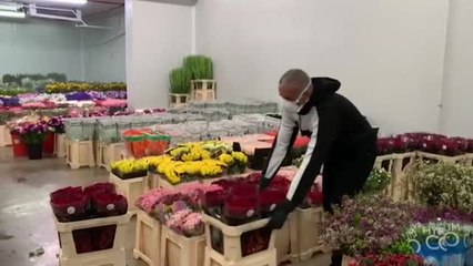 Este año Sant Jordi será online