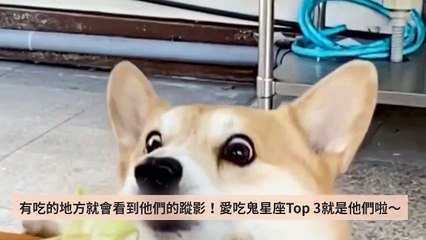 popdaily-rss-copy1-20200420-15:08