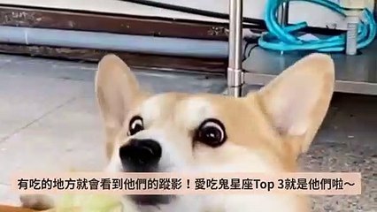 popdaily-rss-sticky-copy1-20200420-15:08