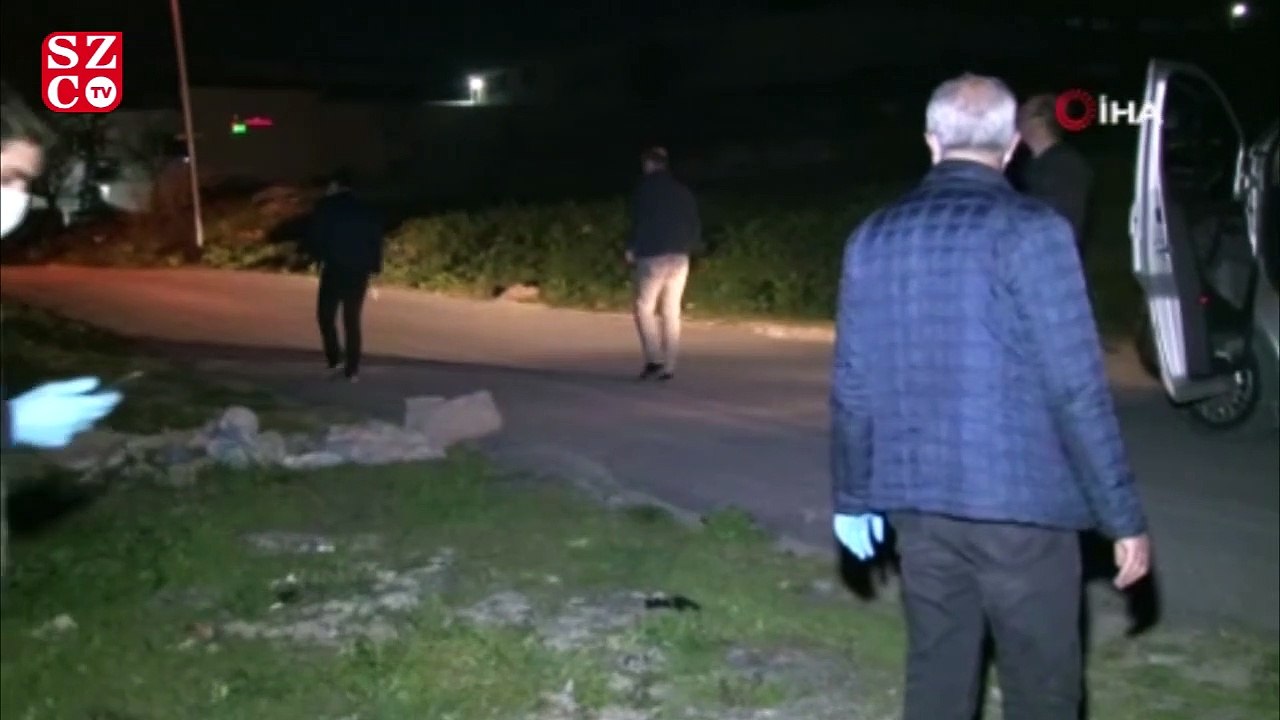 Boş arazide çok sayıda kemik ve kafatası bulundu