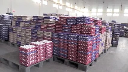 Yumurta üreticileri İsrail pazarına da yöneldi