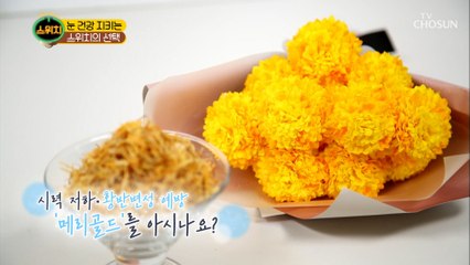 눈 노화 예방에 도움 주는 ✿메리골드✿
