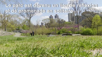 Pendant le confinement, Central Park aide les New-Yorkais à rester "sains d'esprit"
