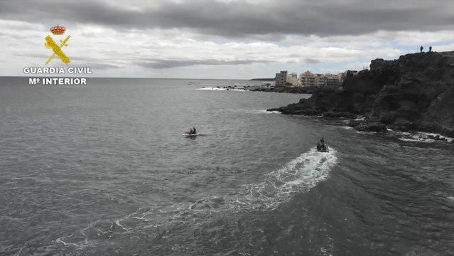Localizados 12 perros muertos en el barranco del Río