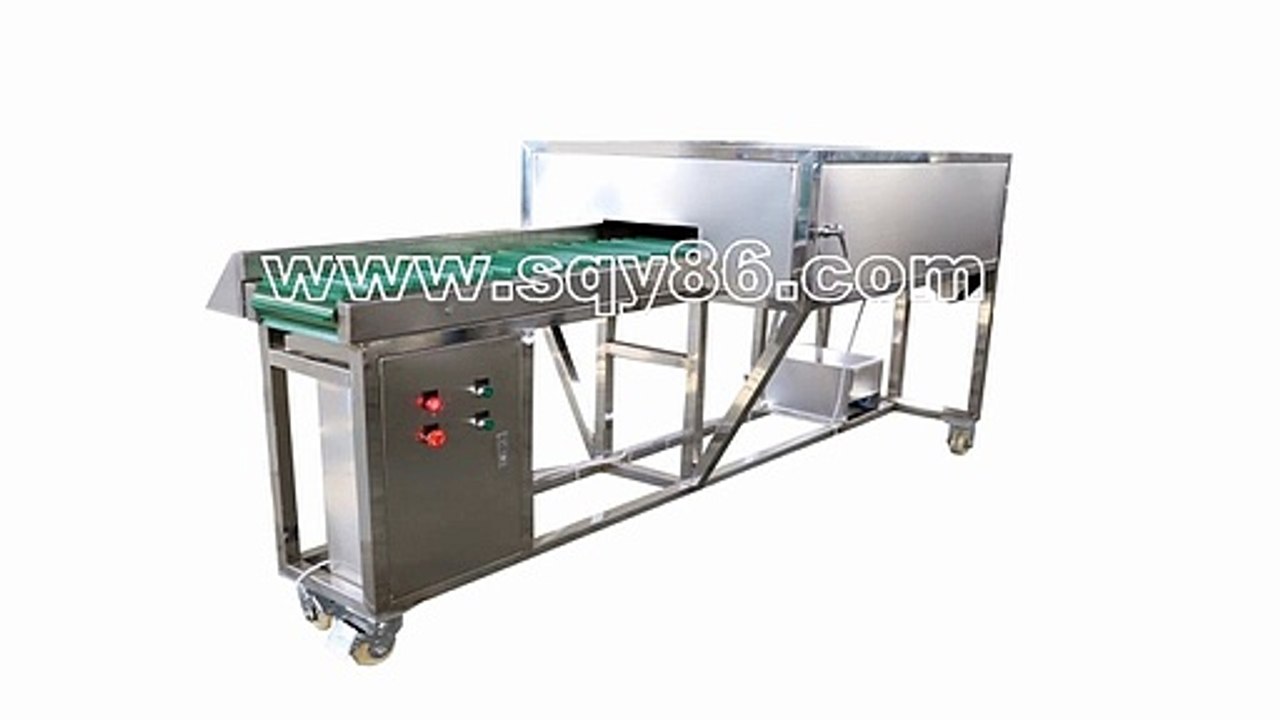 Manufacture 304 Stainless Steel Carrot Cap and Tail Cutting Machine