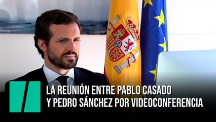 Pablo Casado en la reunión por videoconferencia con Pedro Sánchez