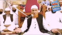 Maulana Makki Alhijazi About Maulana Tariq Jameel -- Maulana Makki Alhijazi -- Q&A
