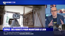 Dans les Ehpad ou les hôpitaux, des robots pour maintenir le lien social