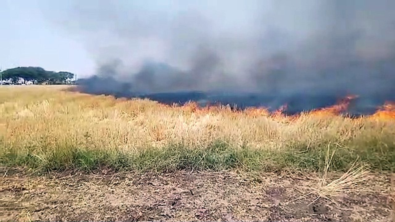 खेत की नरवाई जलाने पर किसानों के ऊपर एफआईआर दर्ज