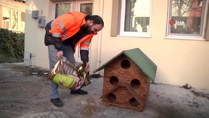 Salgın sebebi ile kedi ve köpekler sokağa terk ediliyor