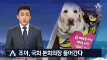 “협치 주인공 조이”…김예지 안내견, 국회 출입 허용 가닥