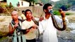 Arunachal Pradesh men eats King Cobra for feast