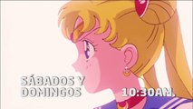 Franja de Animes Dragon Ball Z , Sailor Moon , Caballeros del Zodiaco Colombia