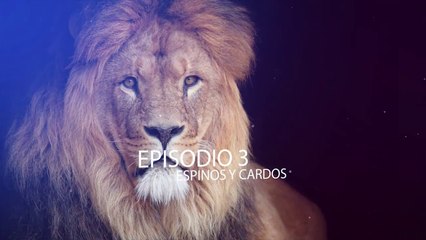 SERIE EL ACTA EPISODIO 3 - ESPINOS Y CARDOS