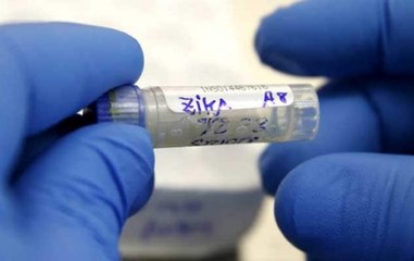 Zika cases rise to 29 in Rajasthan, Centre says no need to panic