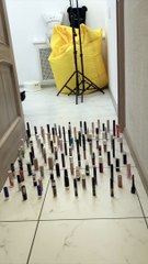 Agile Kitty vs Clumsy Dog